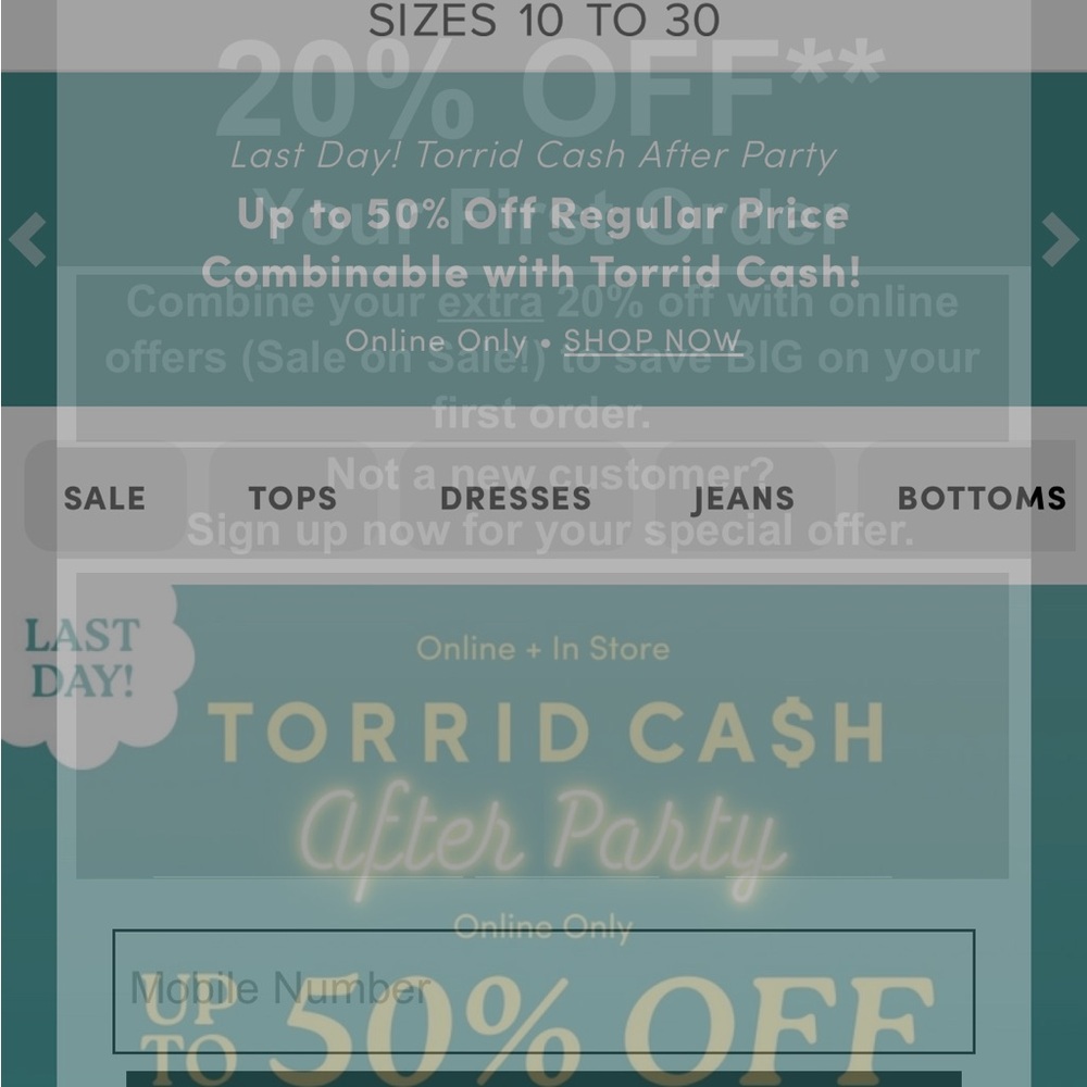 Torrid Teal and White Party Sale Sign